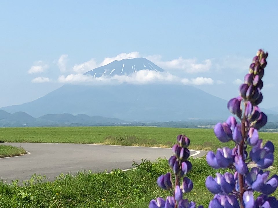 아버지 환갑기념 훗카이도 가족여행